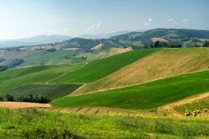 Rural,landscape,near,medesano,,in,parma,province,,emilia Romagna,,italy,,at