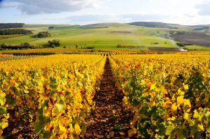 Shutterstock 1641513355, ivan lattuada