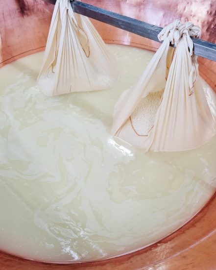 336501730_3154627538161132_8323665718754144311_n