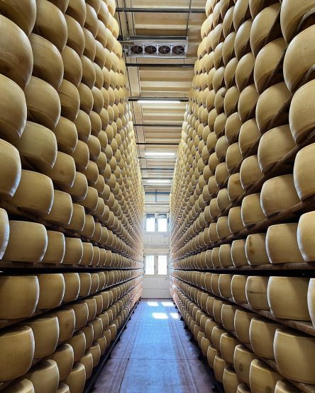 336537886_882846392794724_8816604943916674166_n