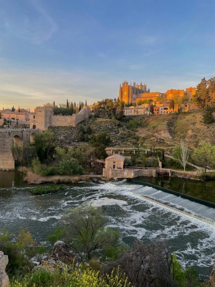 pexels-rulu-gfx-17235356