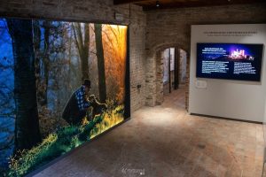 002 Maurogallofotografo©2024 Scaled