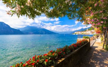 Shutterstock 2454134475